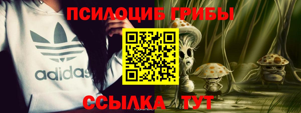 Калач-на-Дону  Псилоцибиновые грибы прущие грибы  Вход с VPN 